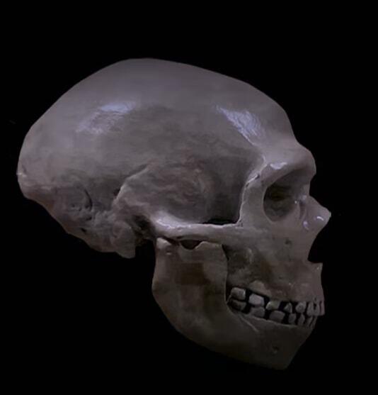 Homo sapiens 300.000 Jahre