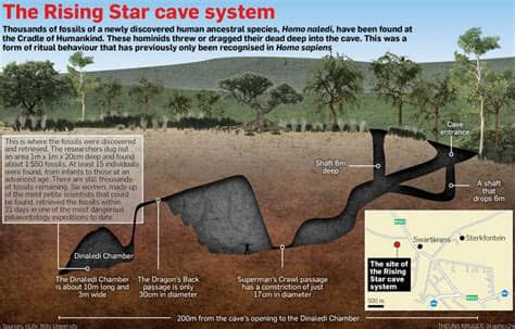 241,000 to 335,000 Years Old Rock Engravings Made by Homo naledi in the Rising Star Cave system, South Africa